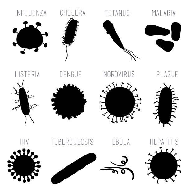 common microrganisms